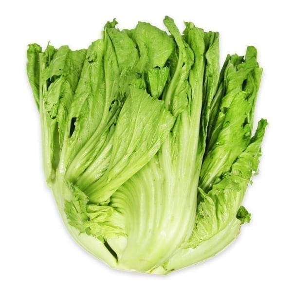Organic Kai Choy 有机芥菜
