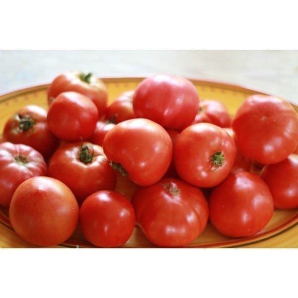 Organic Tomato 有机大番茄