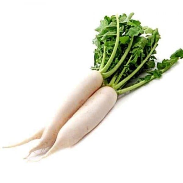 Organic Radish 有机白萝卜