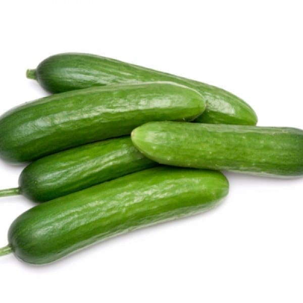 Organic Cucumber 有机青瓜